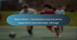 Dario Vidosic : Contributions aux Socceroos, Apparitions internationales, Héritage
