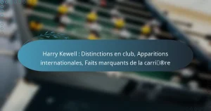 Read more about the article Harry Kewell : Distinctions en club, Apparitions internationales, Faits marquants de la carrière